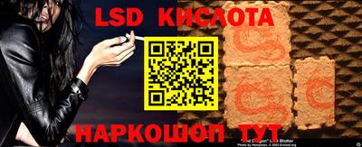 СК Сланцы