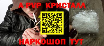 СК Сланцы