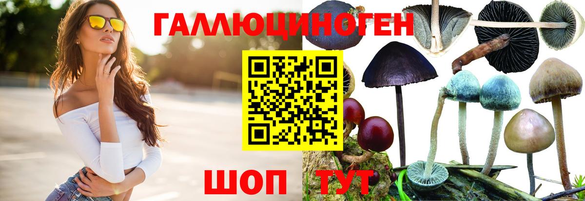 Псилоцибиновые грибы ЛСД  Вход с VPN  Новороссийск 